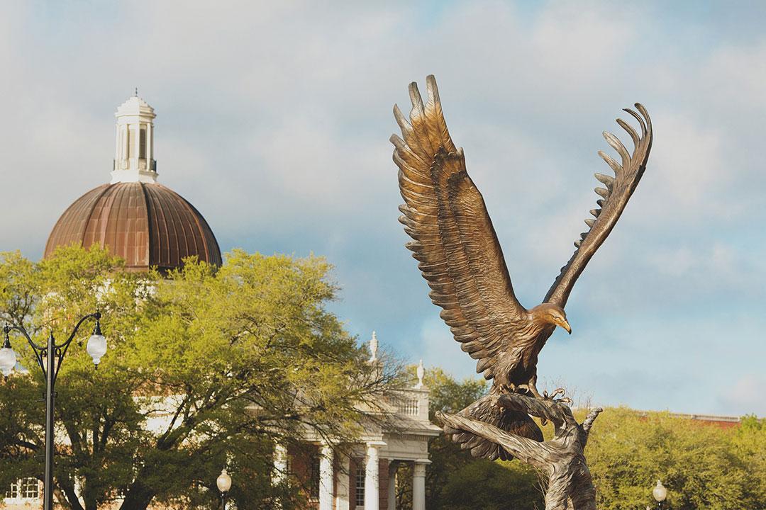 Southern Miss Lofty